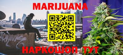 MDMA Новозыбков