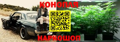 ГАЛЛЮЦИНОГЕННЫЕ ГРИБЫ Новодвинск
